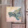 水彩画462枚目｢世界最小の亀・ミシシッピニオイガメさん」