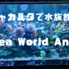 ジャカルタで水族館といえばSea World Ancol