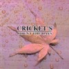 count the days-CRICKET’S(CD)