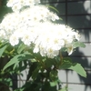 ４月の晦日