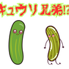 キュウリ兄弟、キューちゃんと、ウリちゃん。ウリちゃんが…