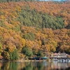 四尾連湖(しびれこ)まで紅葉をじっくり見る