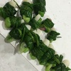 島らっきょ、にんにく、新生姜、ワケギ、フキなどを料理する