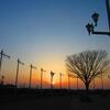 ステラの夕景色
