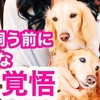 犬を飼う前に必要な覚悟