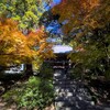 薬王院の紅葉（桜川市）～つくば市とその周辺の風景写真案内（１２１８） 