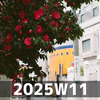 試行錯誤 (2025W11)