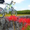 酒匂川青少年サイクリングロード