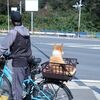 大楠山