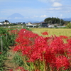 彼岸のころのわが家の催し