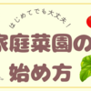 ベランダで家庭菜園デビュー！！お手軽にプランターで作れる野菜とハーブ作り