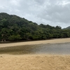 石垣島　吹通川カヌー🛶