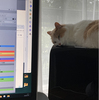 がんばりました