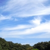 お墓参りほか