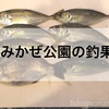 【堤防】うみかぜ公園でアジ釣り