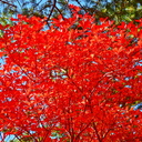 itisin-com’s blog