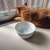 我が家の夏の風物詩