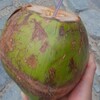 廈門Feverの旅 2：厦门観光（园林植物园，珍珠湾）