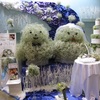 カスミソウのトピアリー