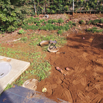 無心の雑草取り。