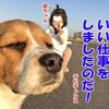 夏の歌と言ったらコレなのだー！