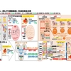 「感謝と貢献」第９１０日　調和コミュニティ（思いやり価値創造）形成技術全体像