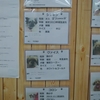 保護犬パーク長居店　2020.10.31