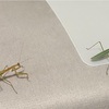 交尾を終えて