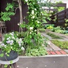 気持ちを言葉にして暮らす～心地よい家族関係を築くために
