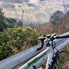 風が強い中　豊後高田市グリーンモンスター(グリーンロード)から真玉へ自転車トレーニング。