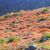 2015年10月3日､那須茶臼岳に行って来た写真です｡現在､姥ヶ平が紅葉の見頃でした｡　(追加…2016年の茶臼岳の姥ヶ平の写真を追加しました)