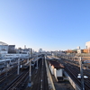 Z 50 +『AF-S DX NIKKOR 10-24mm/f/3.5-4.5G ED』　なんと接写が出来るレンズだった！
