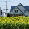 札幌に無事到着