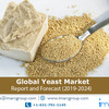 Global Yeast Market Outlook to 2024: Overview and Opportunity – IMARCGroup.com