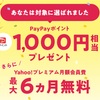 【PR】きたー！PayPay1000円分と６ヶ月無料！！