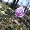 A Day in the River Side Park