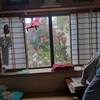 ４．８（土・曇り）沼津日帰り。灌仏会。