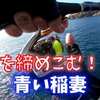 高知松尾「陸のフタツバエ」にアイツがやってくる（動画もあるよ）