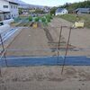 実家の畑で農作業でした