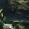 夏がぶり返した週末