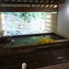 七沢温泉【旅館福松】日帰りブログ♨ハンバーガーも絶品の宿