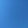 脱がしたろ。えぇ、冬囲いの話しです。