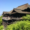 何十年ぶりの清水寺