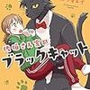 イケメンの黒猫はOLさんを救う