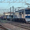 4099レ 蘇我貨物(EF210-164) 【スマホ動画】