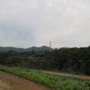 秦野　転　天気　　　　　　最高気温26度　くもり☁