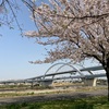 五色桜大橋と宮城ゆうゆう公園  足立区宮城