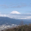 今朝の景色