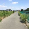 火）ランニングウエアを着て散歩