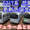 E217系が全色誕生！更新色の特徴がよく捉えられている プラレール E217系 ダブルセットレビュー